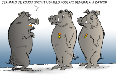 svinje_odlikovanje